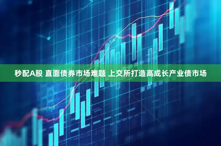 秒配A股 直面债券市场难题 上交所打造高成长产业债市场