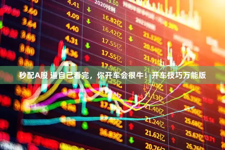 秒配A股 逼自己看完，你开车会很牛！开车技巧万能版
