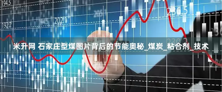 米升网 石家庄型煤图片背后的节能奥秘_煤炭_粘合剂_技术