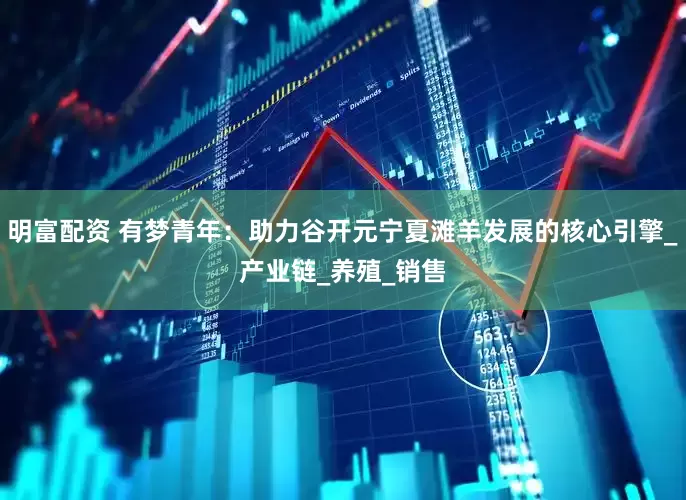 明富配资 有梦青年：助力谷开元宁夏滩羊发展的核心引擎_产业链_养殖_销售